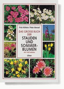 Das große Buch der Stauden und Sommerblumen