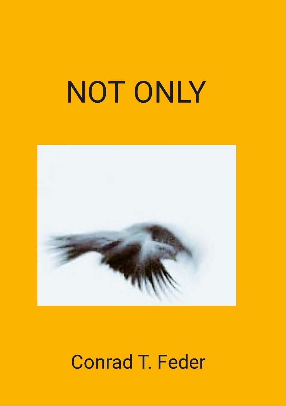 NOT ONLY