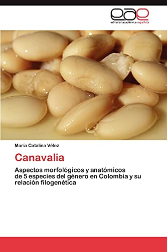 Canavalia: Aspectos morfológicos y anatómicos de 5 especies del género en Colombia y su relación filogenética