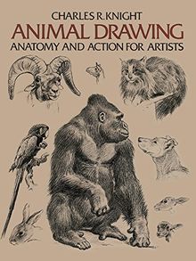 Animal Drawing: Its Origins, Ancient Forms and Modern Usage (Dover Anatomy for Artists)