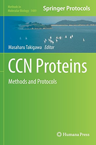 CCN Proteins: Methods and Protocols (Methods in Molecular Biology)