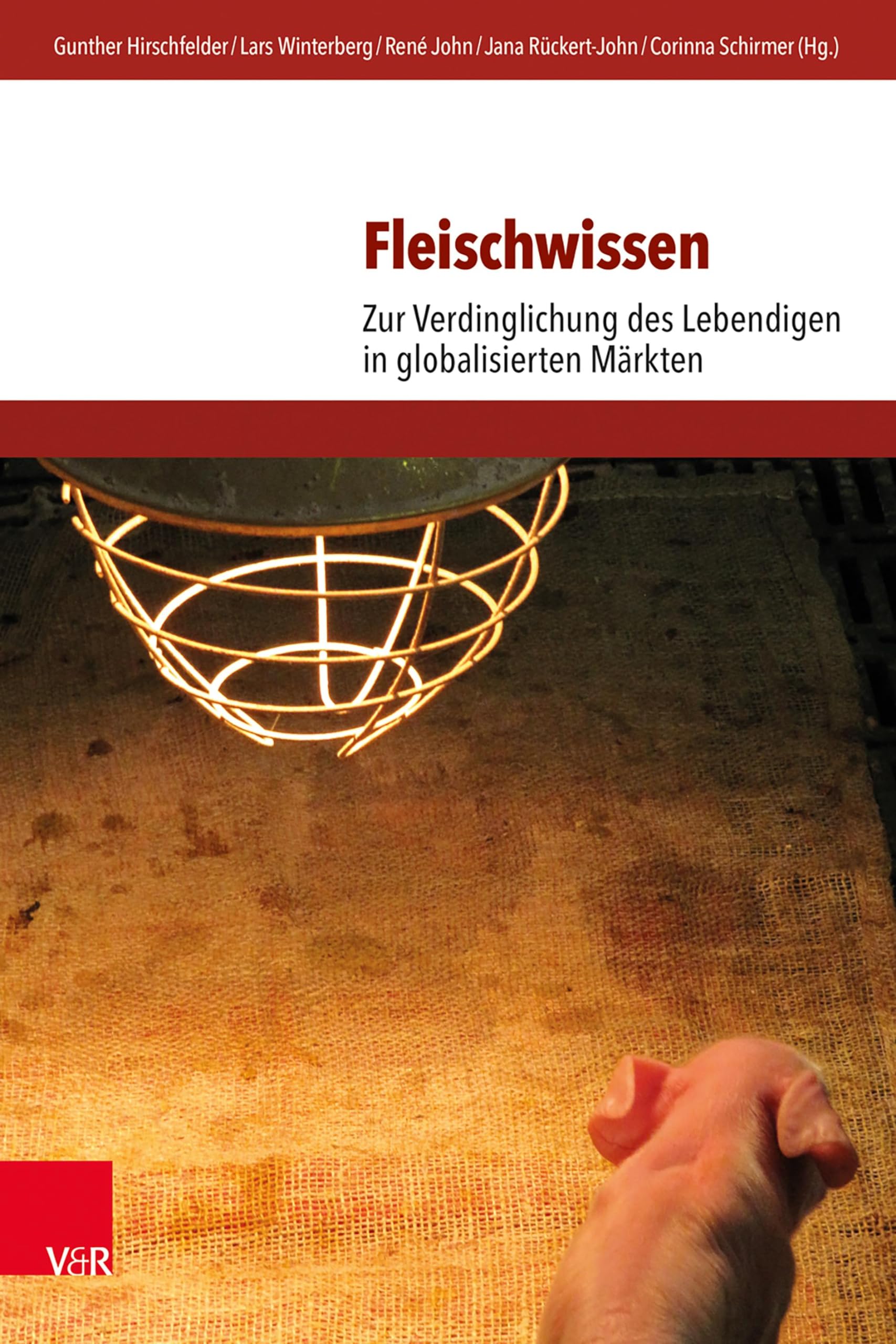 Fleischwissen: Zur Verdinglichung des Lebendigen in globalisierten Märkten (Umwelt und Gesellschaft)