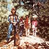 Green River (Lp) [Vinyl LP]