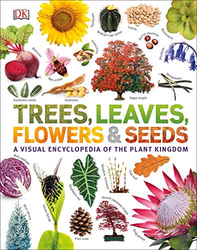 Die Buchhandlung in Oelde hat das Buch Trees, Leaves, Flowers & Seeds: A visual encyclopedia of the plant kingdom