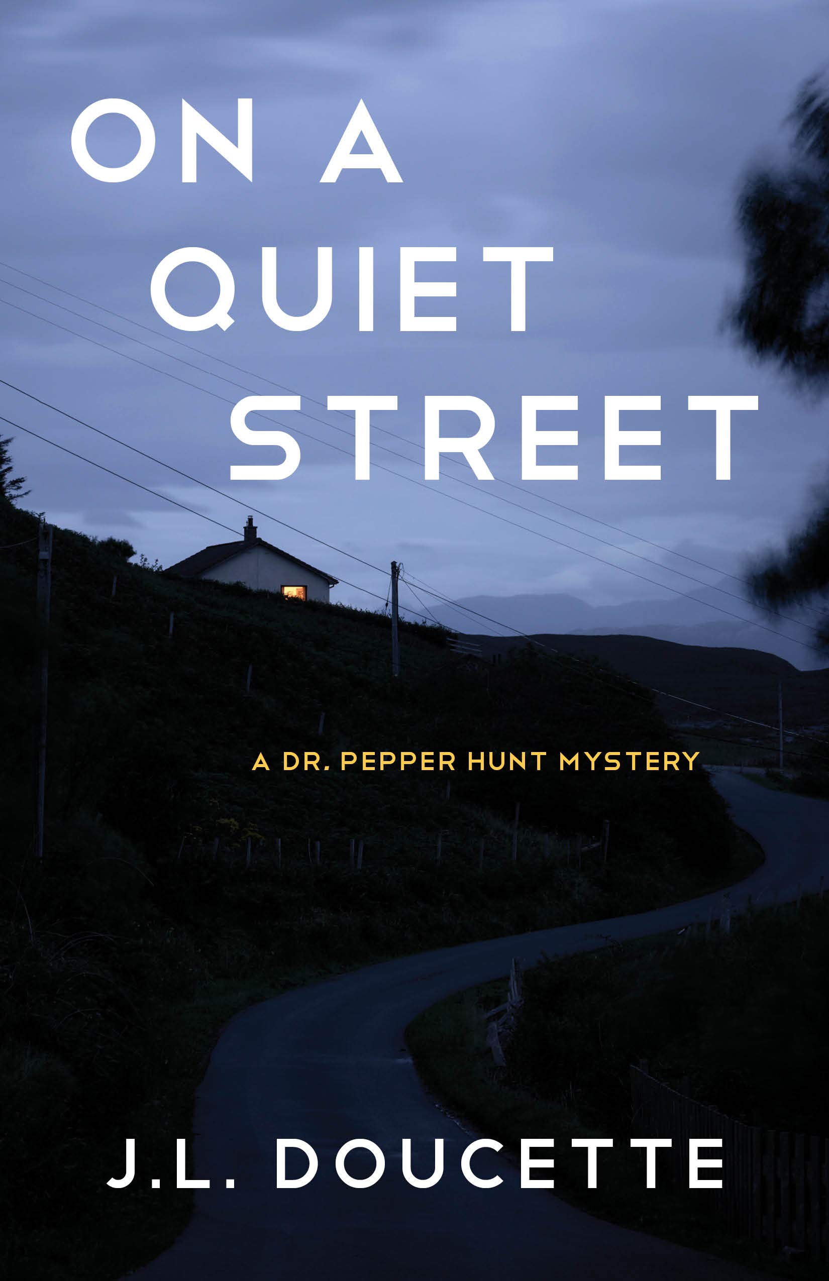 On a Quiet Street: A Dr. Pepper Hunt Mystery (A Dr. Pepper Hunt Mystery, 2)