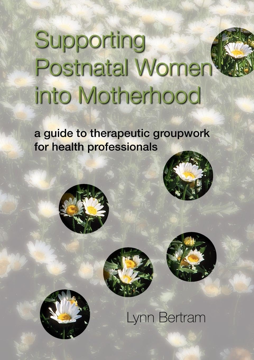 Supporting Postnatal Women into Motherhood: A Guide to Therapeutic Groupwork for Health Professionals