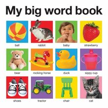 My Big Word Book (My Big Books)