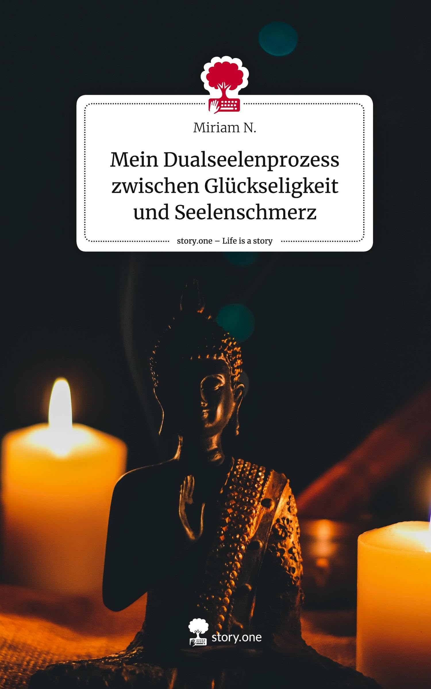 Mein Dualseelenprozess zwischen Glückseligkeit und Seelenschmerz. Life is a Story - story.one: DE