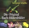 Die Original Bach-Blütenbilder: 38 Karten zur Meditation und Motivation
