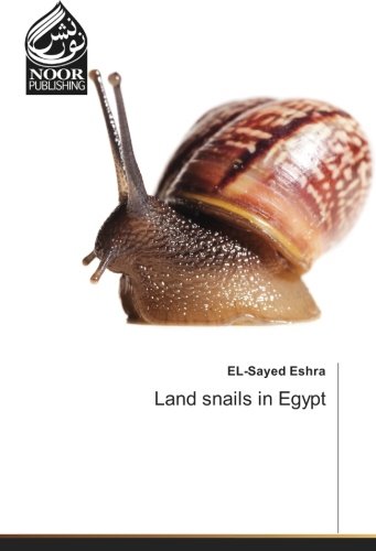 Land snails in Egypt