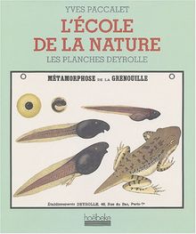 L'école de la nature : les planches Deyrolle