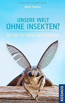 Unsere Welt ohne Insekten: Ein Teil der Natur verschwindet