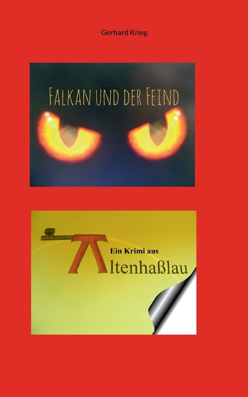 Falkan und der Feind (Falkan Krimis)
