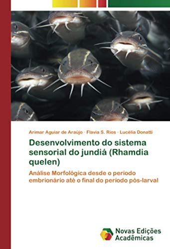 Desenvolvimento do sistema sensorial do jundiá (Rhamdia quelen): Análise Morfológica desde o período embrionário até o final do período pós-larval