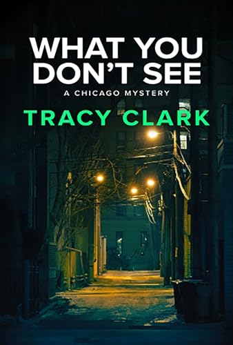 What You Don't See (A Chicago Mystery, Band 3)