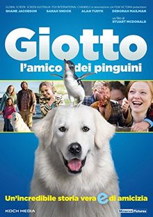giotto - l'amico dei pinguini