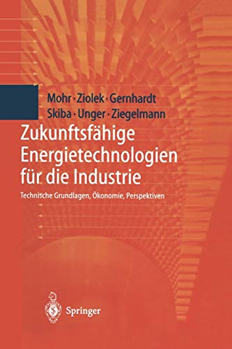 Zukunftsfähige Energietechnologien für die Industrie: Technische Grundlagen, Ökonomie, Perspektiven
