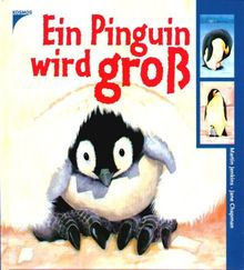 Ein Pinguin wird groß