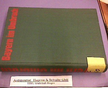 Bayern im Umbruch: Die Revolution von 1918, ihre Voraussetzungen, ihr Verlauf und ihre Folgen