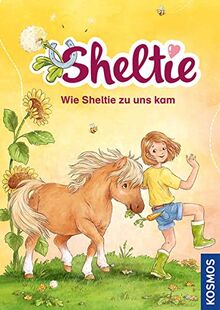 Sheltie - Wie Sheltie zu uns kam