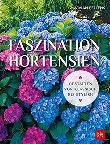 Faszination Hortensien