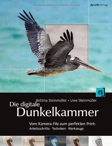 Die digitale Dunkelkammer: Vom Kamera-File zum perfekten Print: Arbeitsschritte, Techniken, Werkzeuge