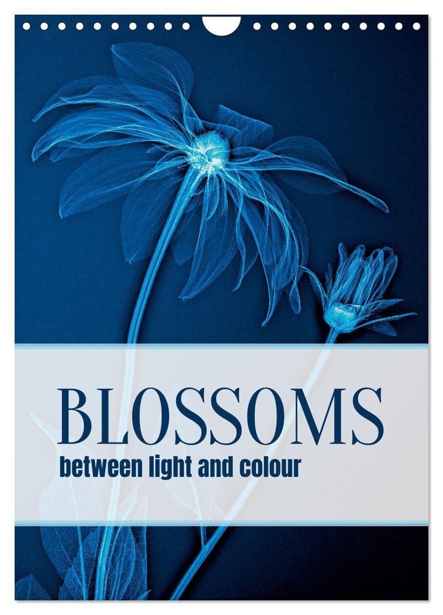 Blossoms between light and colour (Wall Calendar 2027 DIN A4 portrait), CALVENDO 12 Month Wall Calendar