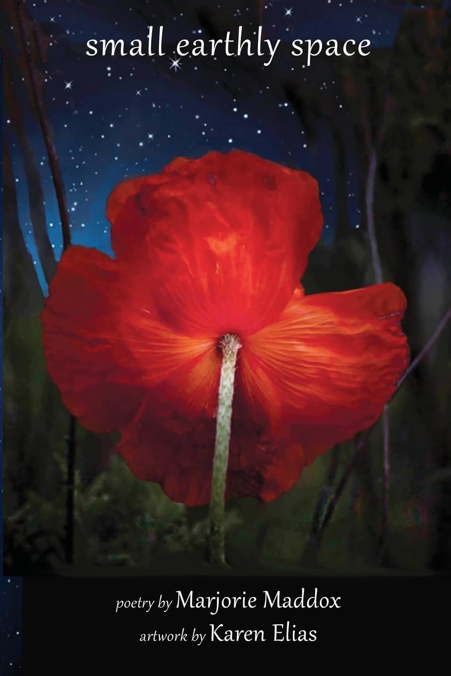 Oelder Buchhandlung – Lange Str, 59302 Oelde