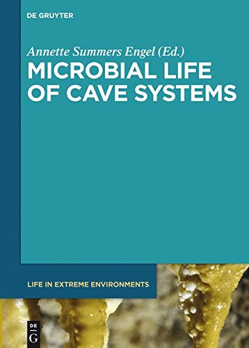 Microbial Life of Cave Systems (Life in Extreme Environments, Band 3)