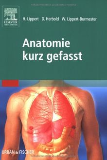 Anatomie kurz gefasst: 750 Fragen und Antworten zur  Vorbereitung auf Kurstestate und auf den mündlichen Teil der Ärztlichen Vorprüfung