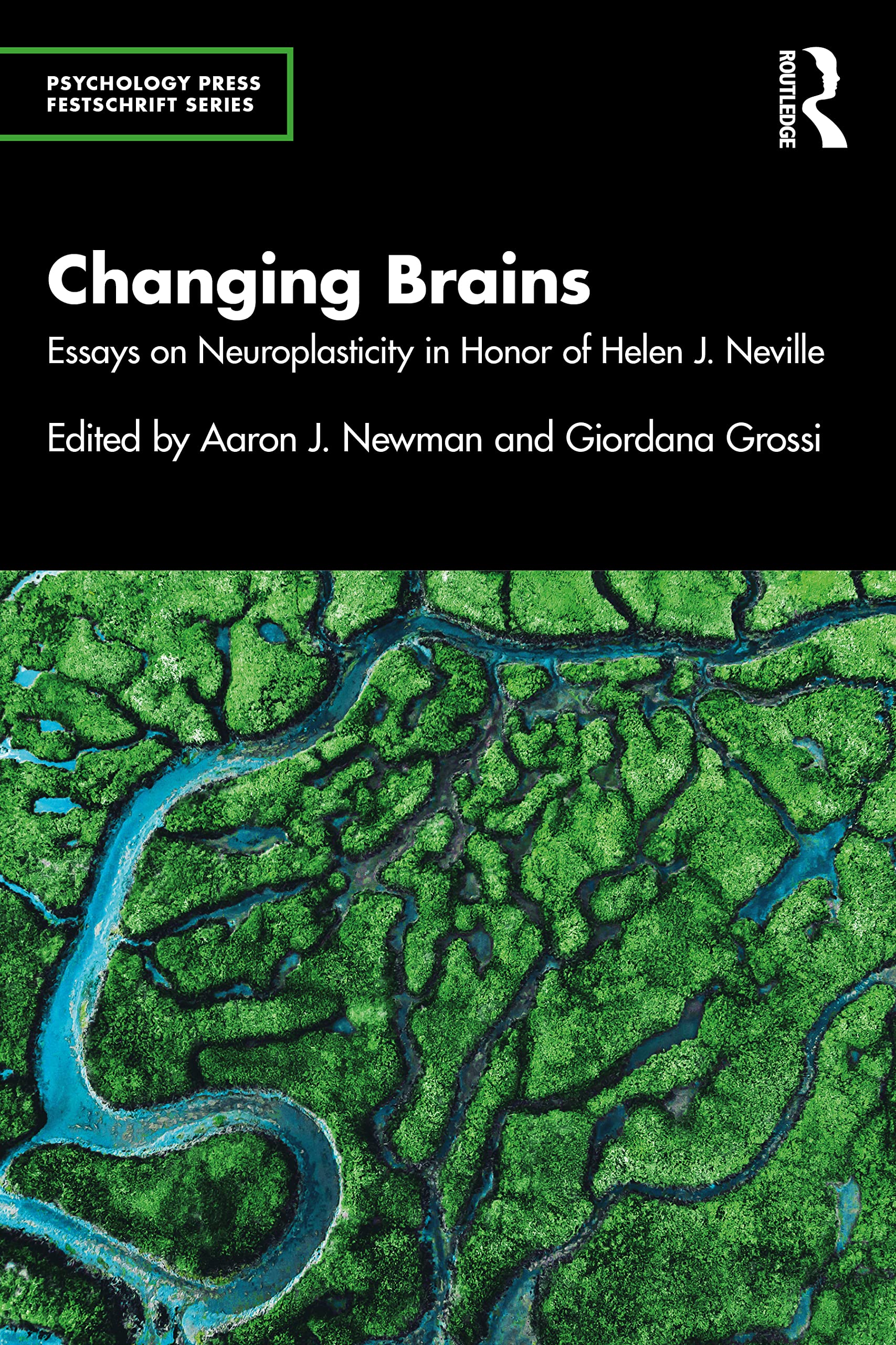 Changing Brains: Essays on Neuroplasticity in Honor of Helen J. Neville (Psychology Press Festschrift)
