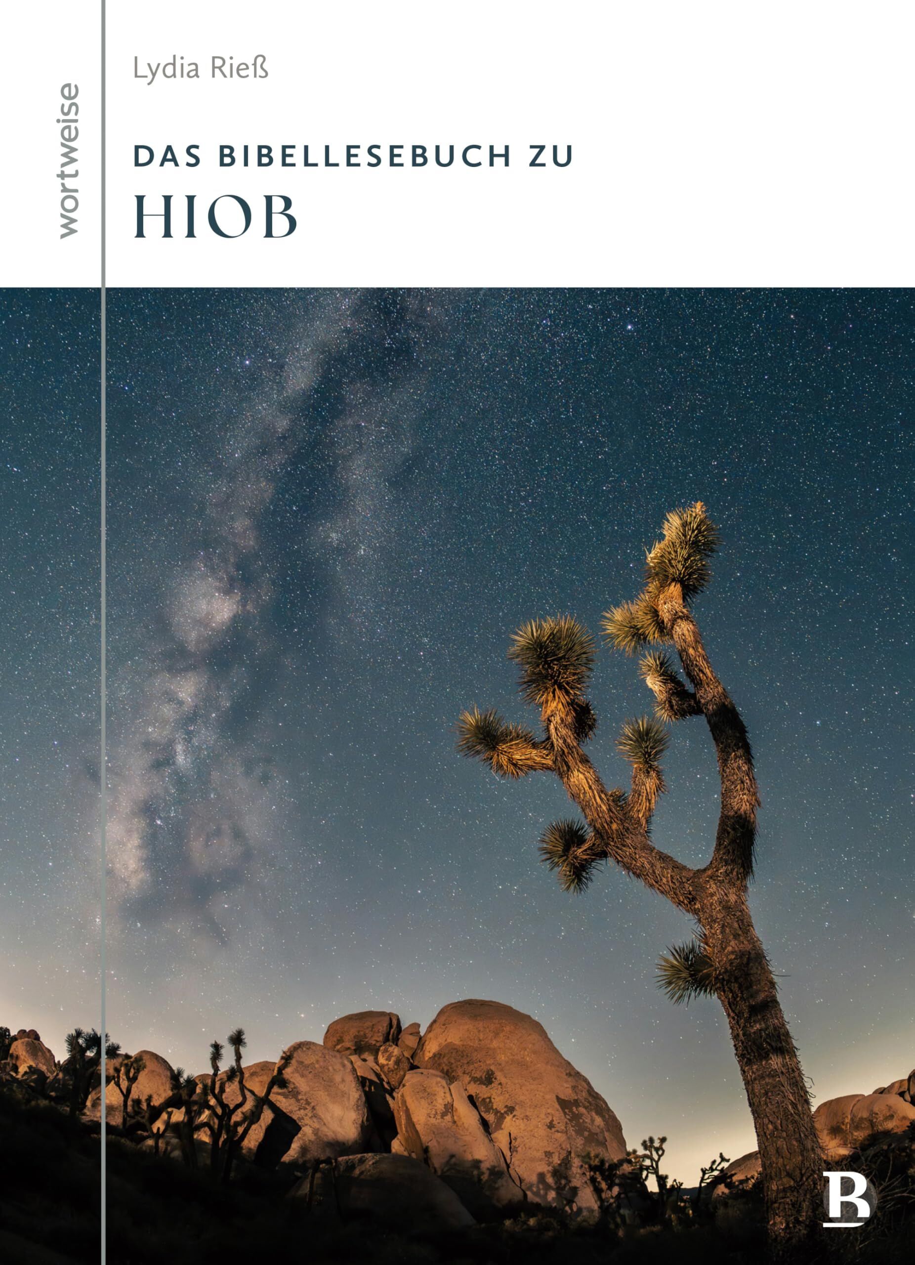 Das Bibellesebuch zu Hiob