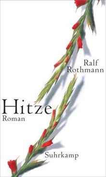 Hitze: Roman