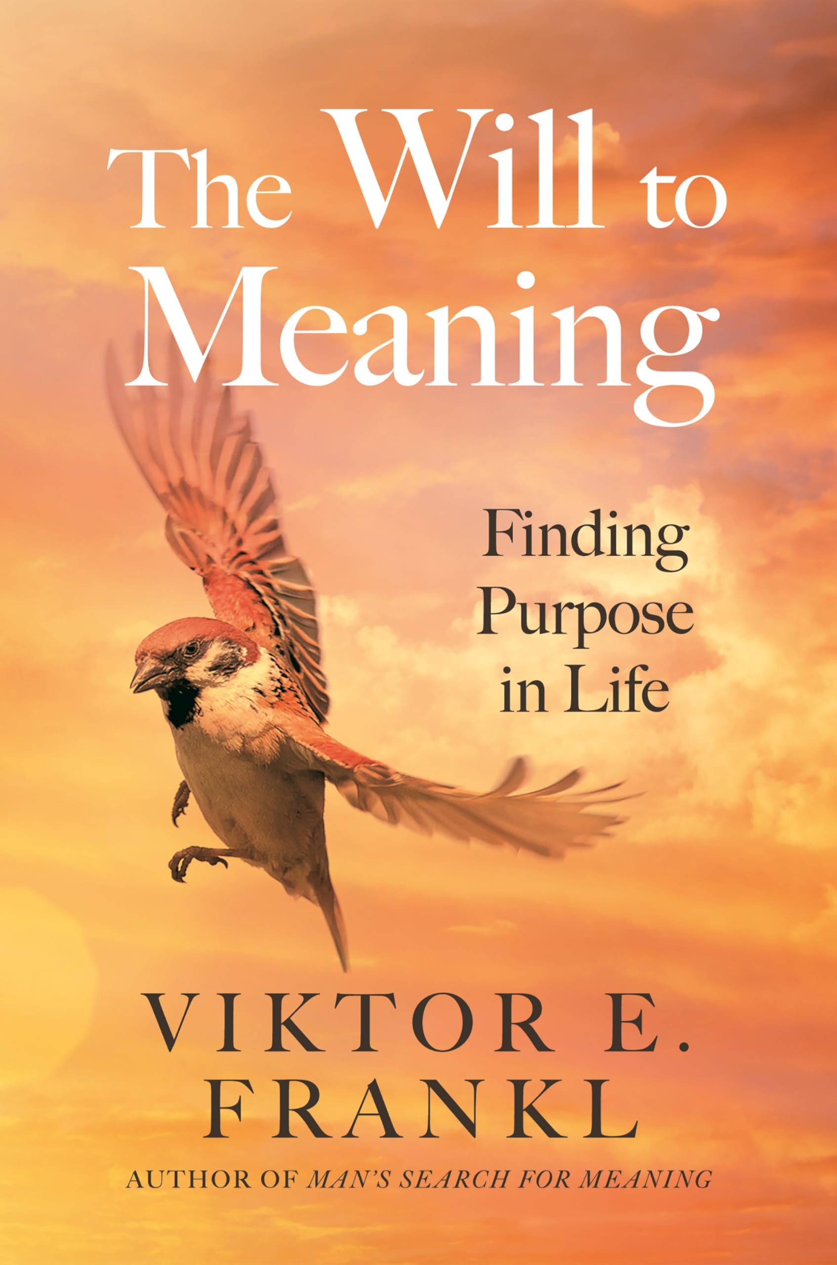 The Will to Meaning: Why Hope Triumphs Over Despair