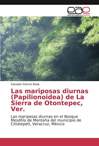 Las mariposas diurnas (Papilionoidea) de La Sierra de Otontepec, Ver.: Las mariposas diurnas en el Bosque Mesófilo de Montaña del municipio de Citlatepetl, Veracruz, México
