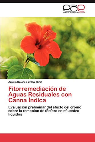 Fitorremediación de Aguas Residuales con Canna Índica: Evaluación preliminar del efecto del cromo sobre la remoción de fósforo en efluentes líquidos