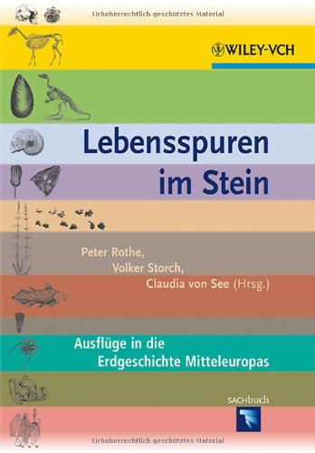 Peter Rothe Lebensspuren Im Stein, Ausflüge In Die Erdgeschichte Mitteleuropas