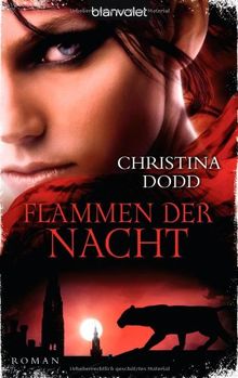 Flammen der Nacht: Roman