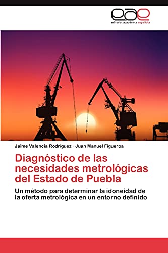 Diagnóstico de las necesidades metrológicas del Estado de Puebla: Un método para determinar la idoneidad de la oferta metrológica en un entorno definido