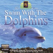 Swim With the Dolphins