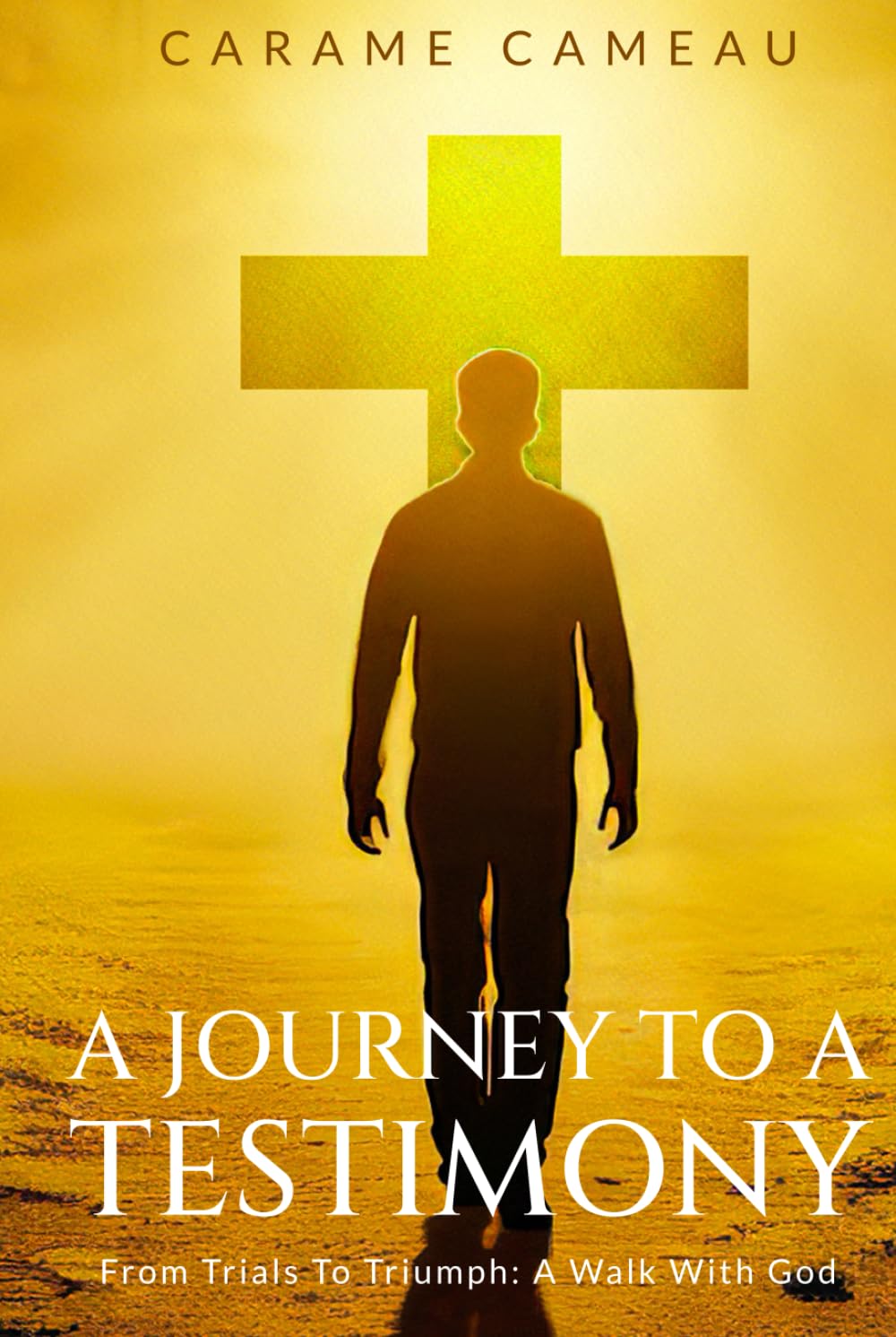 A Journey to a Testimony: From Trials to Triumphs: A Walk with God