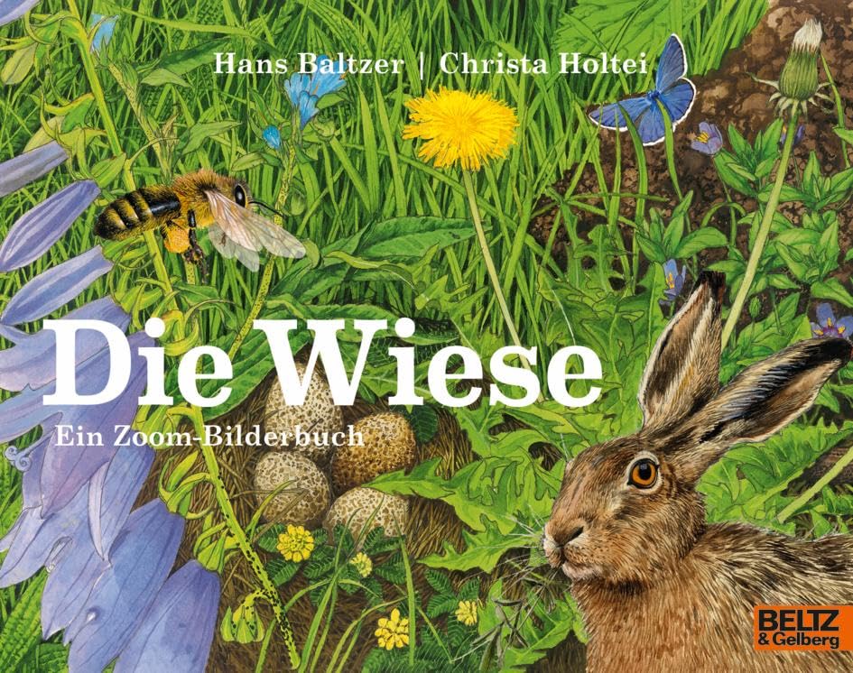Die Wiese: Ein Zoom-Bilderbuch