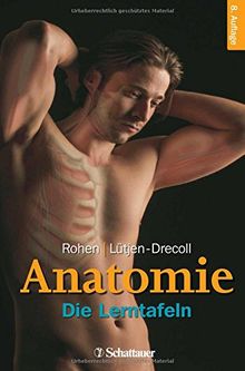 Anatomie: Die Lerntafeln