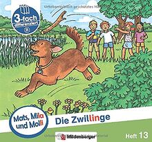 Mats, Mila und Molli – Heft 13: Die Zwillinge – B: Eine Geschichte in drei Schwierigkeitsstufen