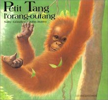 Petit Tang, l'orang-outang