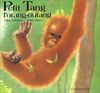 Petit Tang L'Orang-Outang (Bx Livres G.l.)