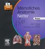Mémofiches Anatomie Netter: Tronc