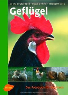Geflügel: Das Fotobuch für die Praxis