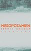 Mesopotamien (suhrkamp taschenbuch)