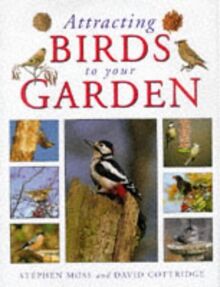 Attracting Birds to Your Garden